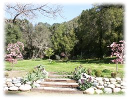 Saratoga in the Spring